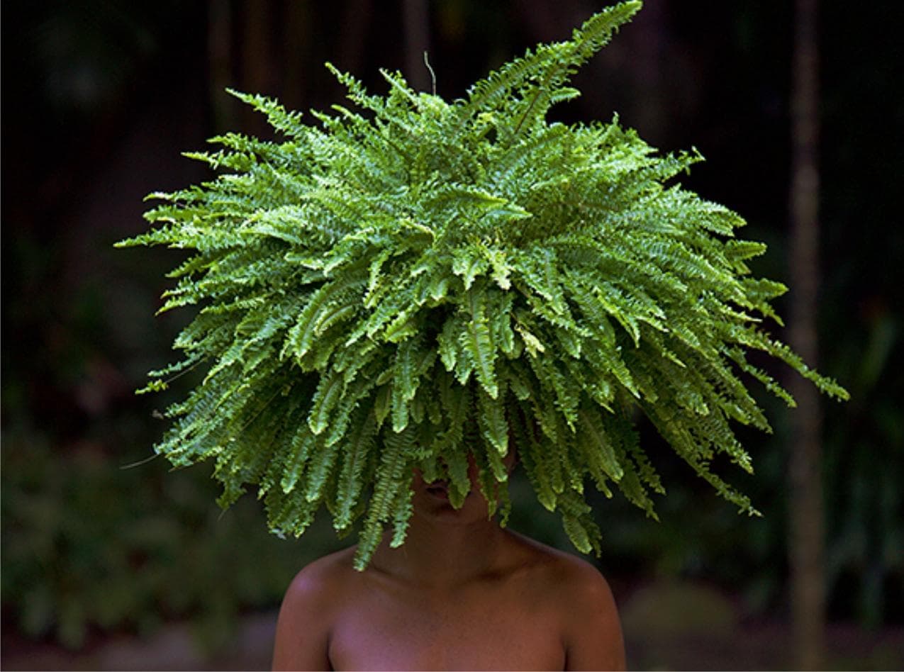 Habitacular by Raquel Paiewonsky, Photography