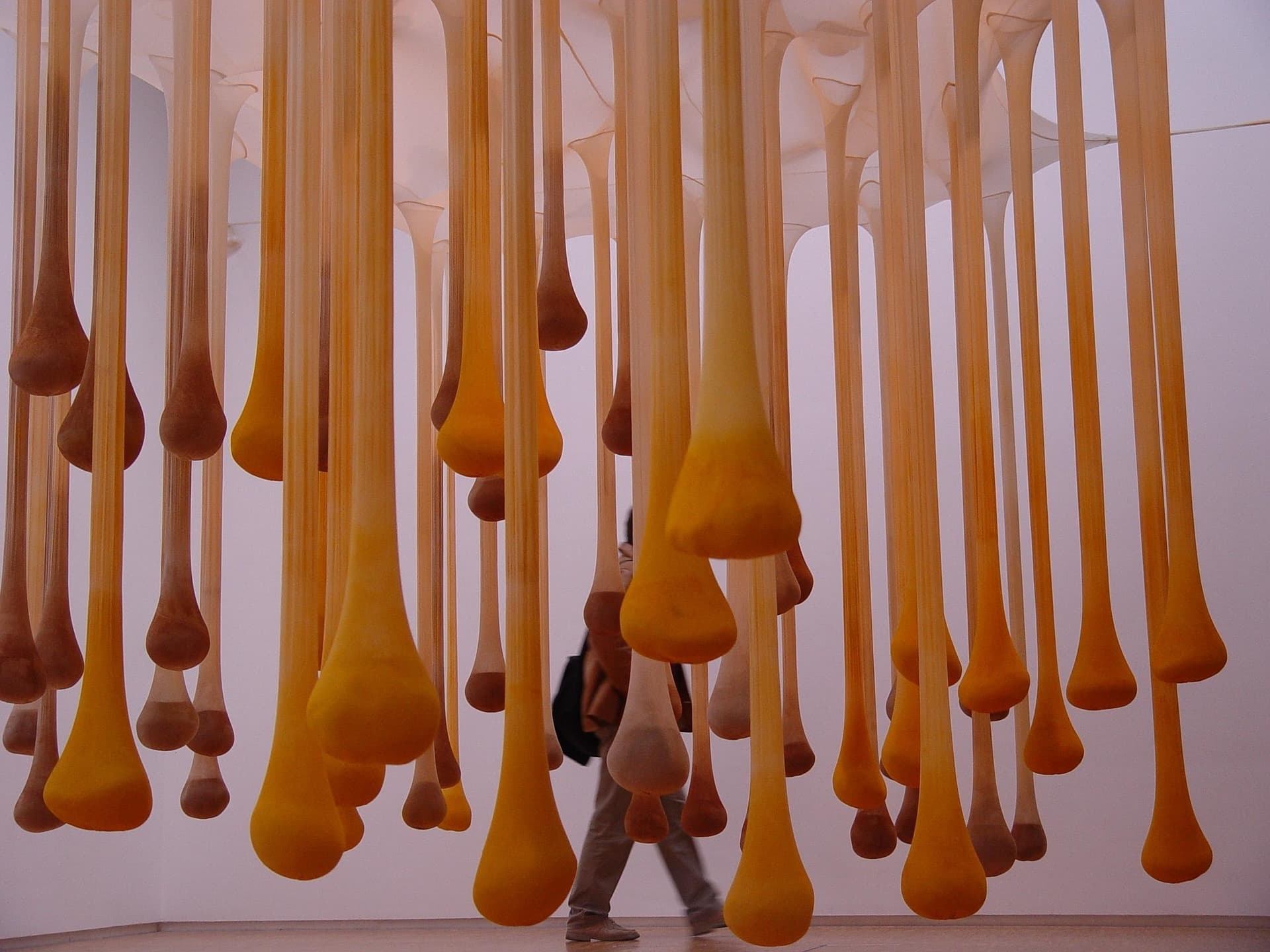 Ernesto Neto
