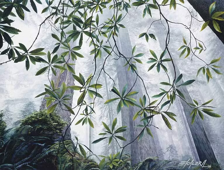 Misty by Rodolfo Escalera, Painting