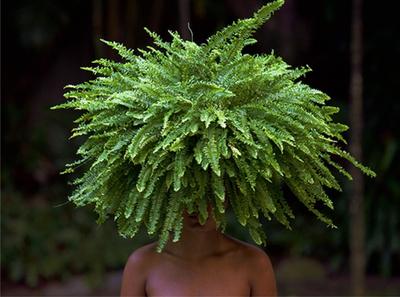 Habitacular by Raquel Paiewonsky, Photography